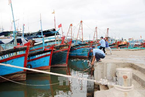 Đột phá bằng phát triển năng lượng tái tạo, kinh tế biển ảnh 1